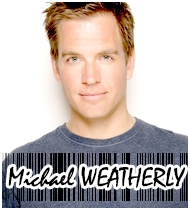 Michael Weatherly